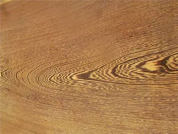 木头全部小说,木头免费观看