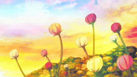 太美了花海随拍,咸阳郁金香在哪