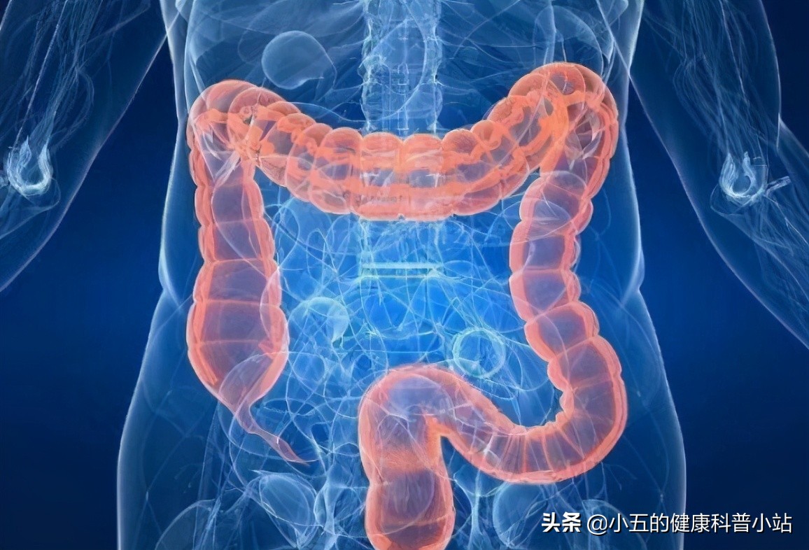 麻子仁丸能治疗羊粪状便秘吗,老年人便秘最好的解决方法麻仁丸