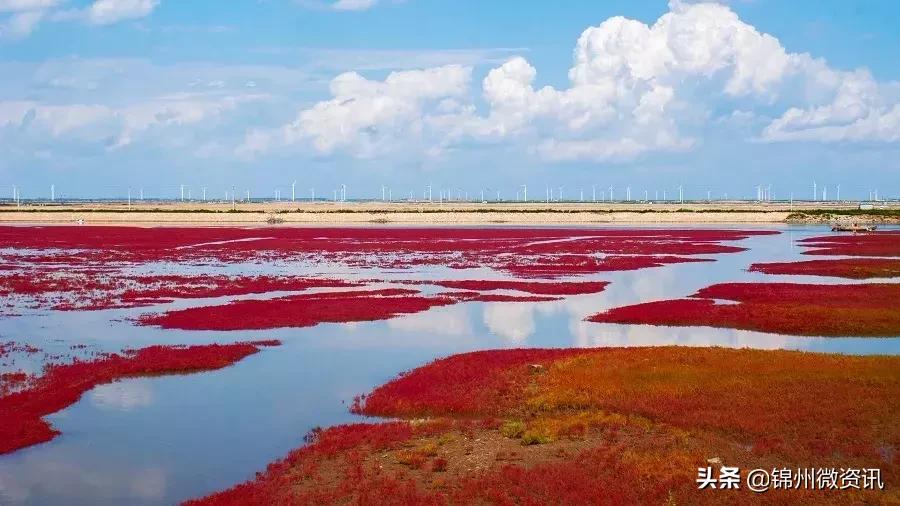 <html>
<head><title>502BadGateway</title></head>
<body>
<center><h1>502BadGateway</h1></center>
<hr><center>nginx</center>
</body>
</html>
<!--apaddingtodisableMSIEandChromefriendlyerrorpage-->
<!--apaddingtodisableMSIEandChromefriendlyerrorpage-->
<!--apaddingtodisableMSIEandChromefriendlyerrorpage-->
<!--apaddingtodisableMSIEandChromefriendlyerrorpage-->
<!--apaddingtodisableMSIEandChromefriendlyerrorpage-->
<!--apaddingtodisableMSIEandChromefriendlyerrorpage-->
