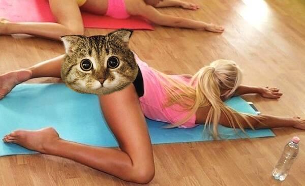 瑜伽侧压一字马,练瑜伽压青蛙趴的痛苦