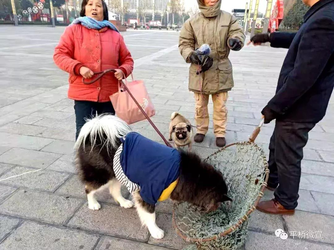 动真格整治方案,动真格整改落实