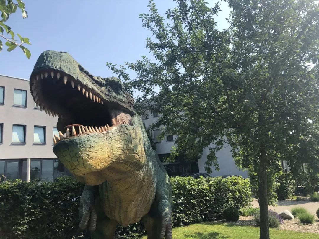 寰峰浗鎬濅箰鍎跨鐜╁叿,鎬濅箰鍝佺墝鐜╁叿