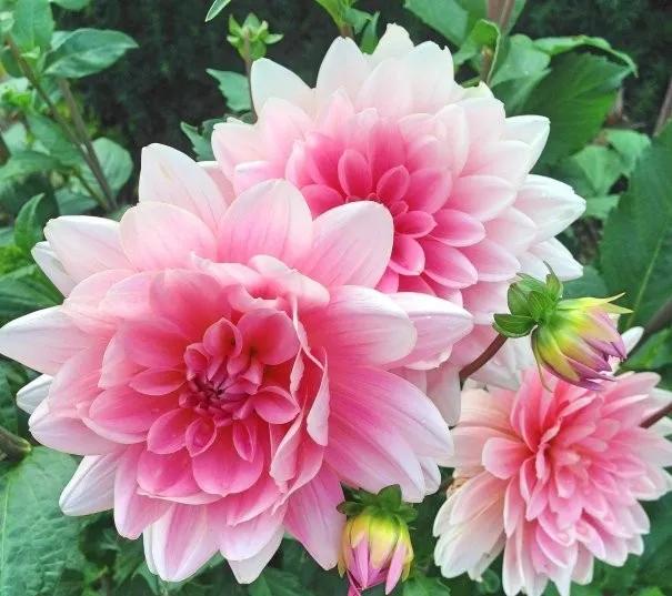 彭山景区活动购票,常德彭山景区游玩攻略图