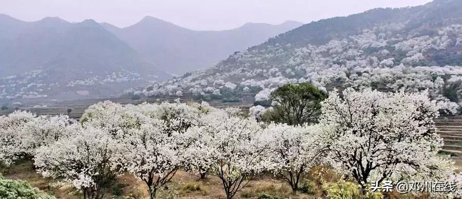 南阳最新重要新闻,河南南阳有什么大事