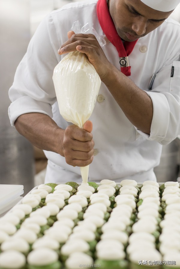 皇家加勒比邮轮量子号新加坡出发,皇家加勒比海洋量子号邮轮之旅