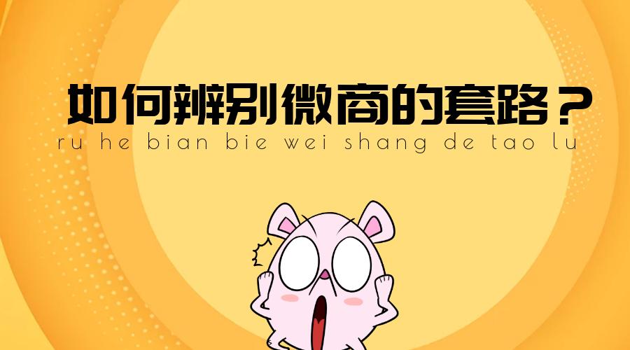 微商运营入门基础知识,微商运营方案及技巧策略