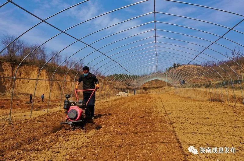 重逢——复苏的成州