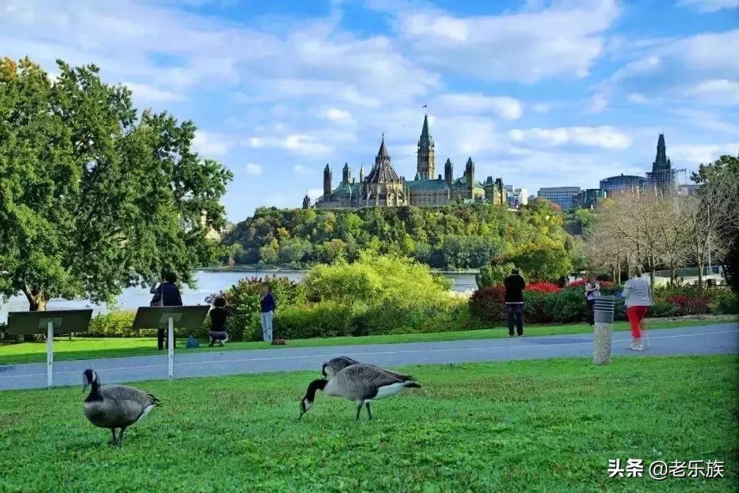 中国的老年人面临着什么问题,中国老人面临的养老现状
