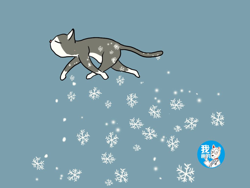 猫咪掉毛现象的三个常见原因,猫咪掉毛很严重是什么病