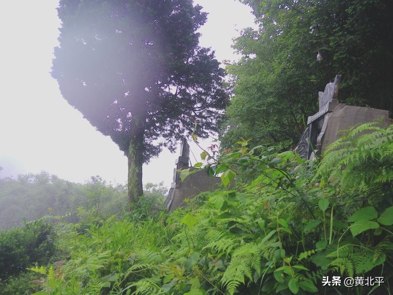 正安县何家山古道,贵州遵义安场古道