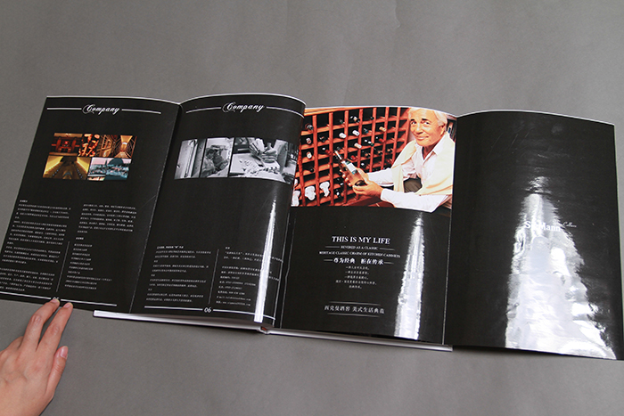 品深全案画册设计为您企业打造超级营销利剑（5）