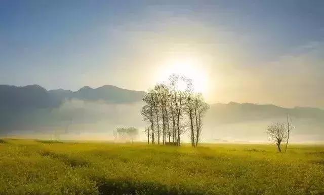 中国“林海”，你可能还不知道，这是一个低调很久了高颜值县城！