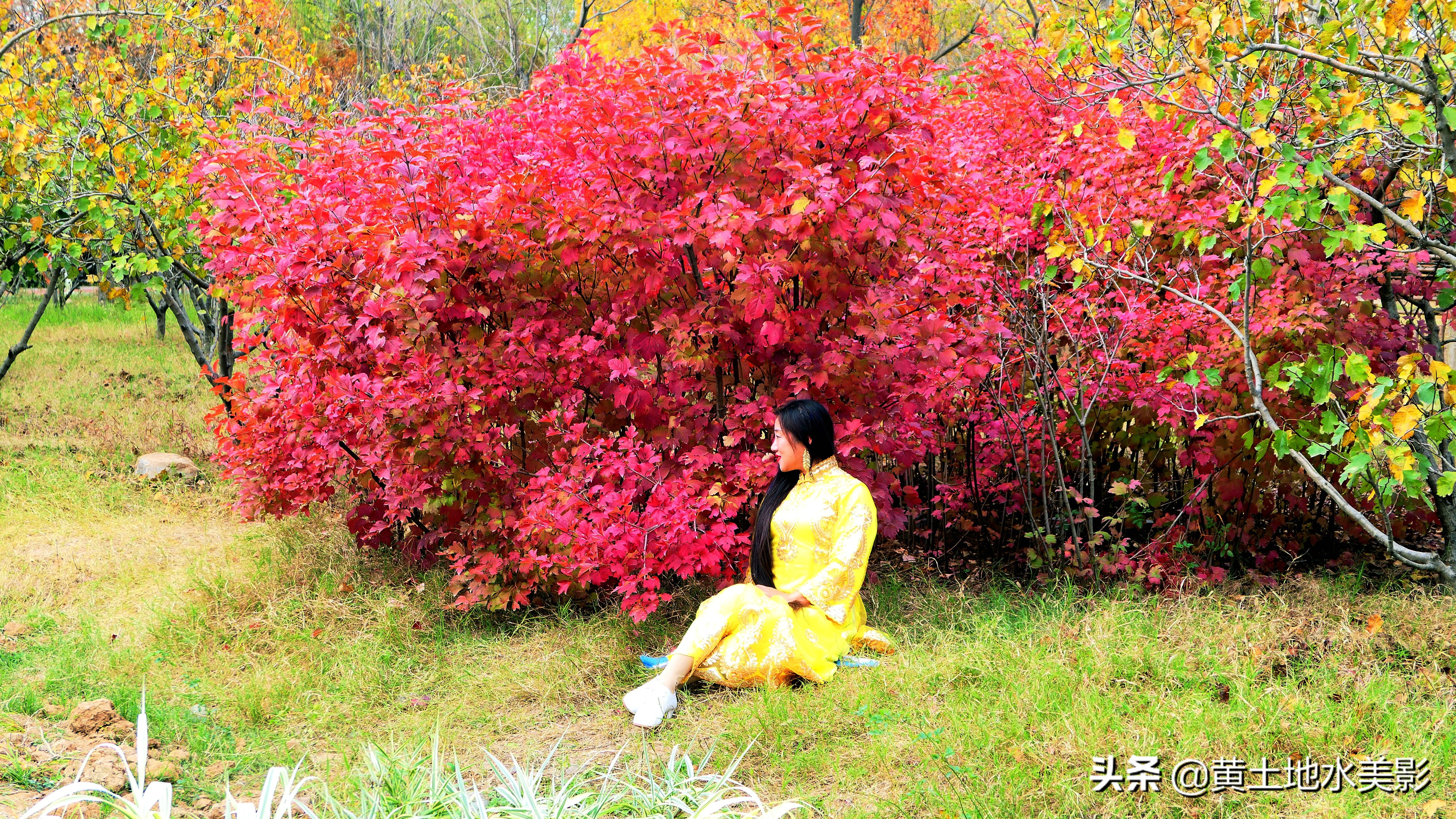 免费游玩东湖公园攻略,免费湿地公园游乐景点