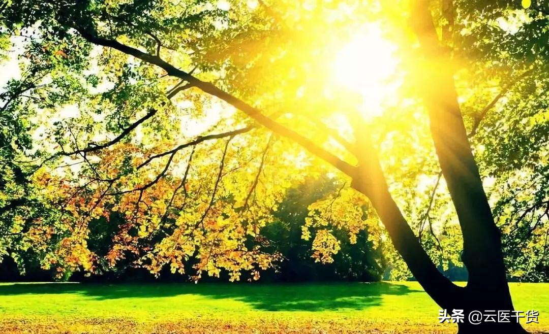 改善怕冷体质的方法,改善怕冷体质的中药吃多久见效