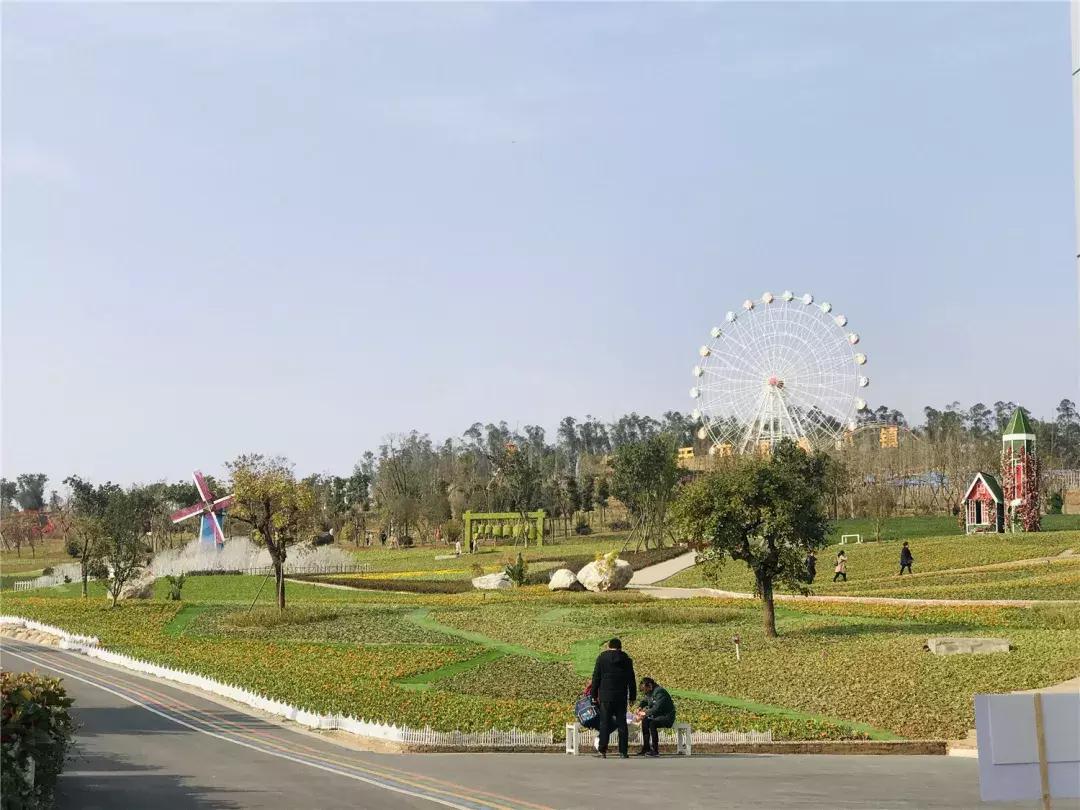 未来的新都,看一下新都的二手房