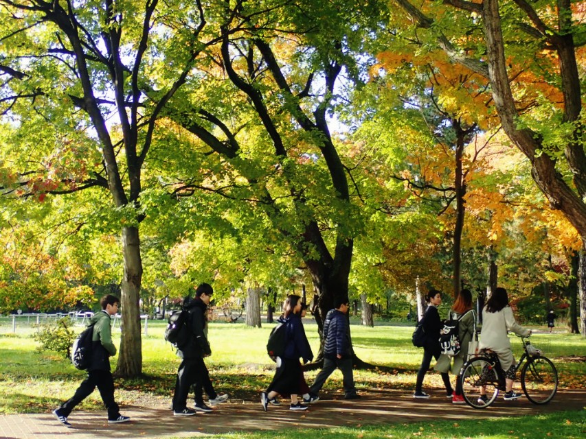 从南到北游日本之北海道札幌