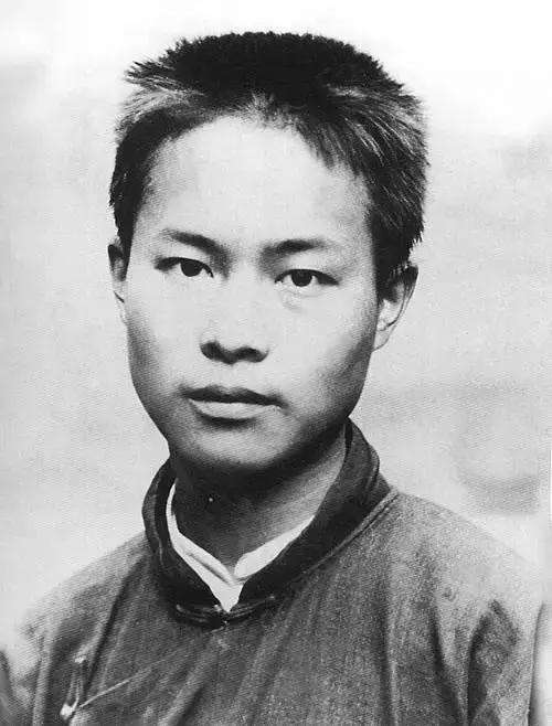 网红一夜收入千万,网红一夜之间一无所有