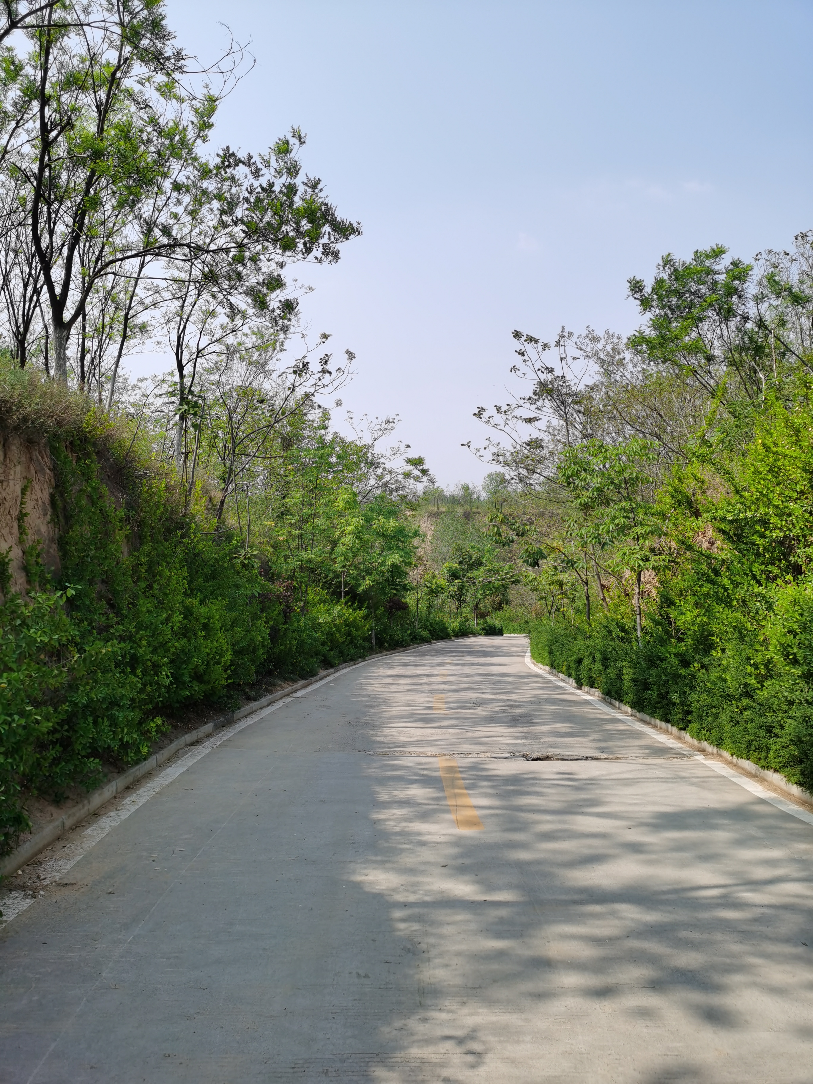 5.1免费公园遛娃好去处,网友推荐郑州树木园游玩好去处