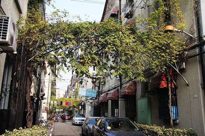 上海黄浦上海老街,上海七宝老街风景视频