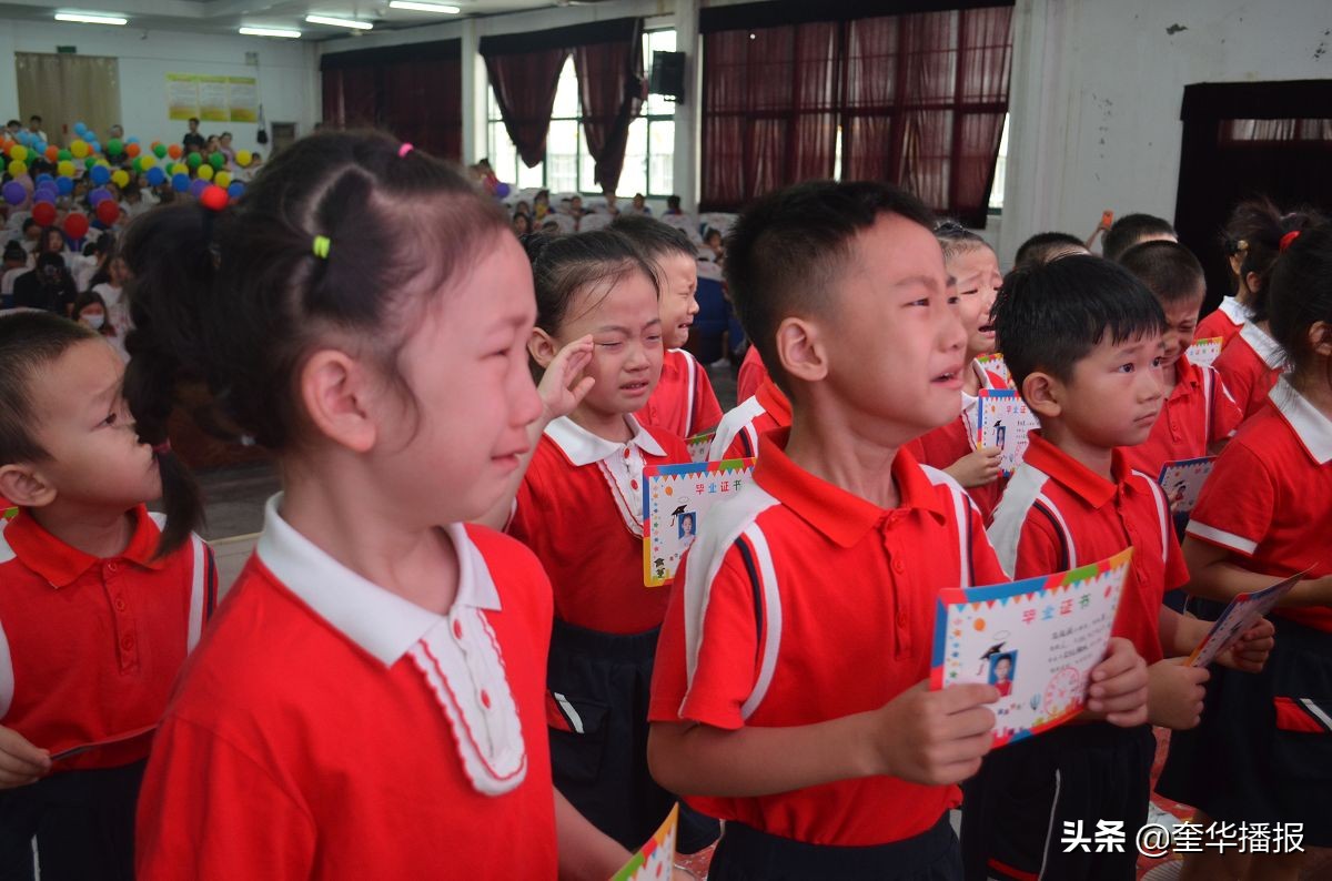 茌平翰林幼儿园,聊城市茌平区翰林幼儿园