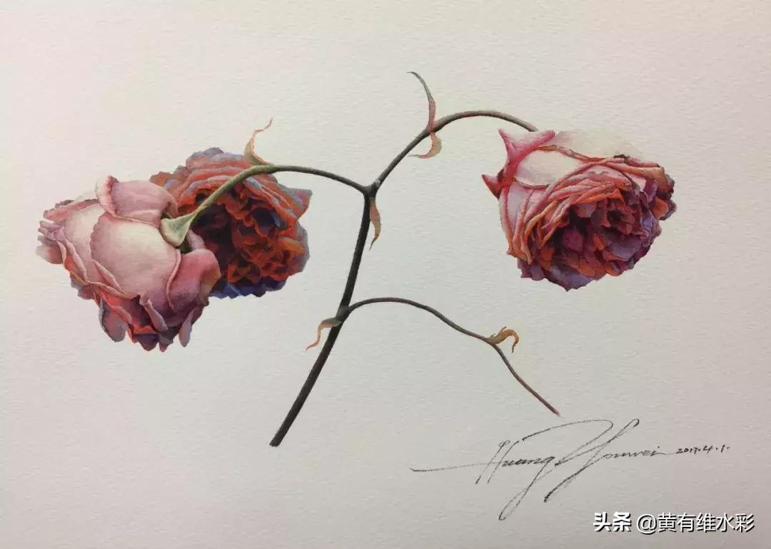 33朵玫瑰制作全过程,英伦花教程