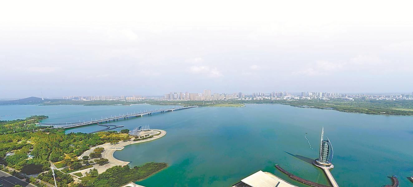 【习习春风润江淮·蚌埠篇】激发创新动能聚力提速增效