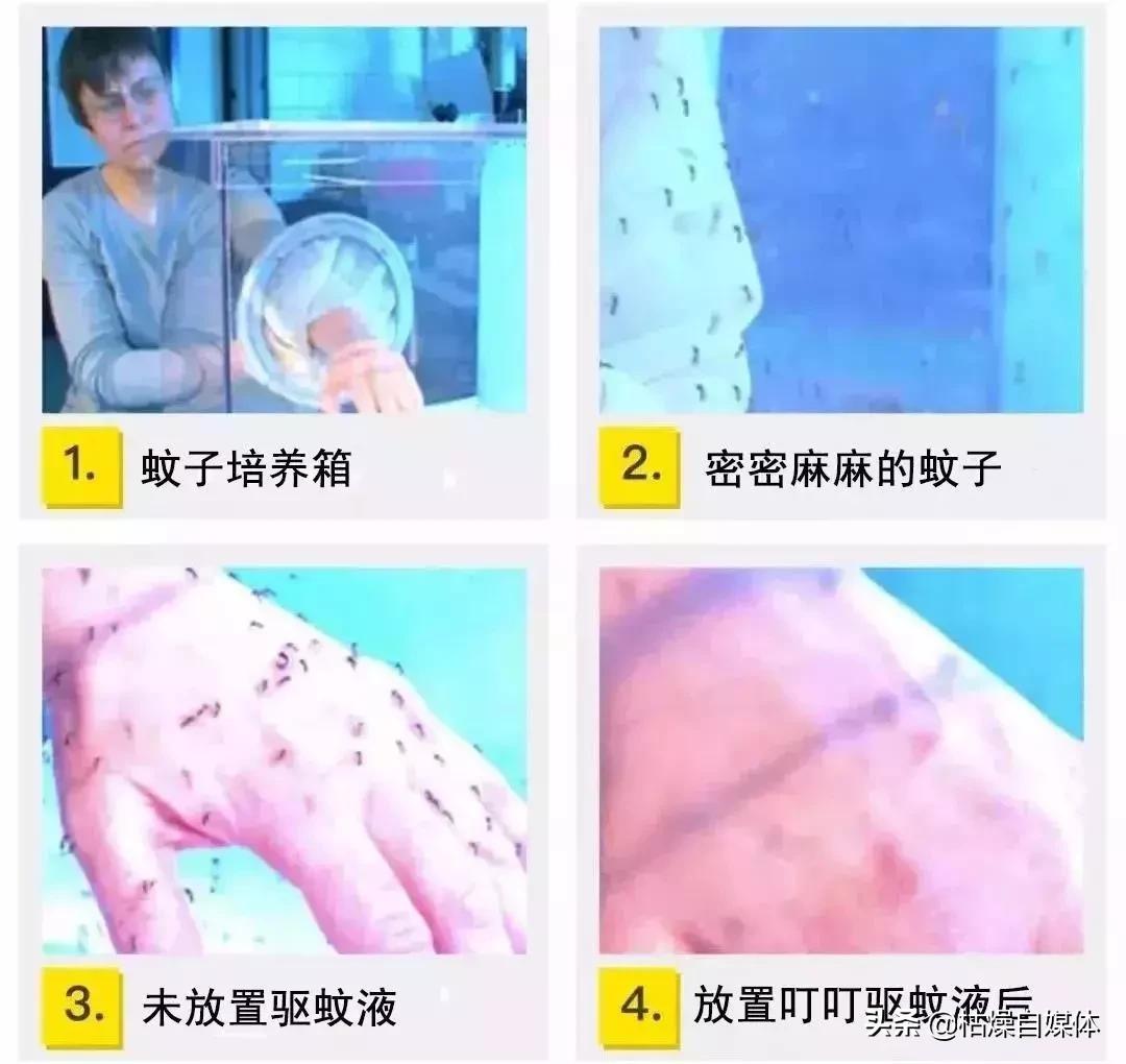 日本蚊子黑科技,灭蚊子神器日本