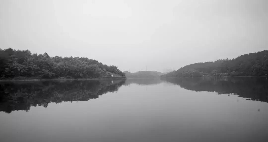 双流竟藏着如此绝美的“秘密公园”，约吗？