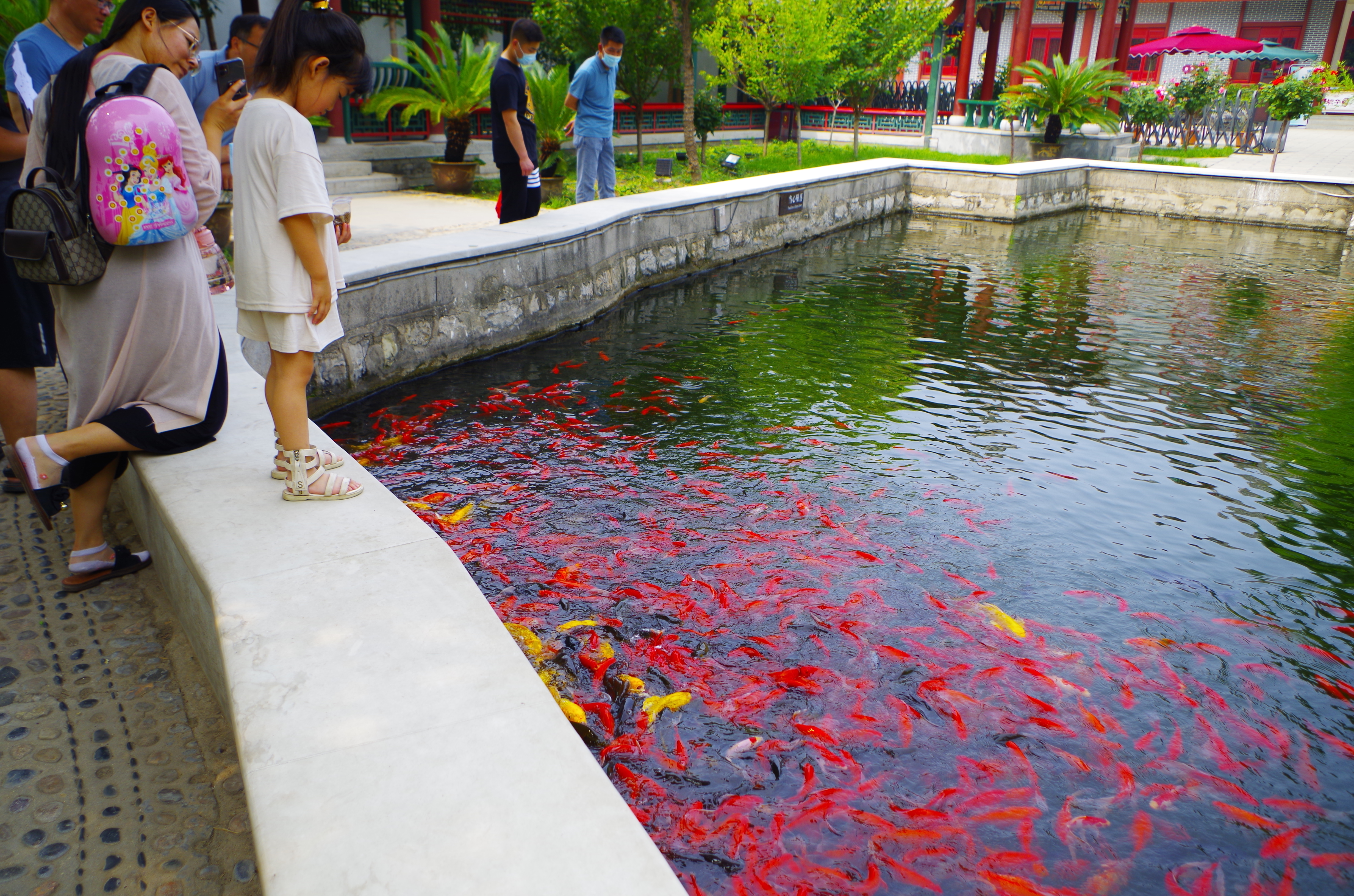 来自于1986年的荣国府