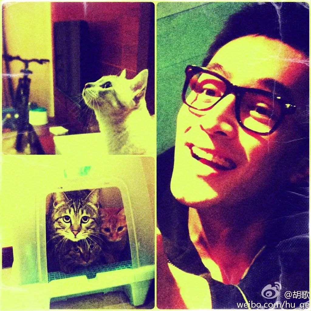 胡歌彭于晏和我,胡歌我和我的父辈