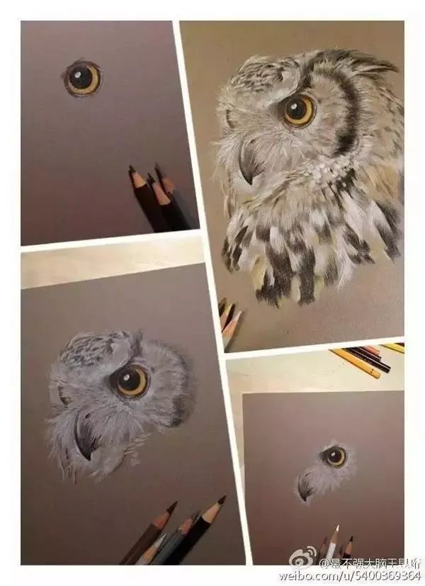 王昱珩不上班做到财富自由,最强大脑王昱珩清华毕业后不上班