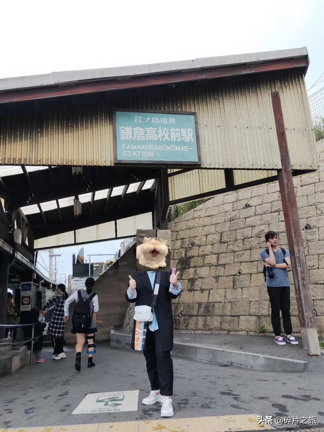 豪华游轮日本游旅游攻略,特价日本豪华游轮旅游攻略