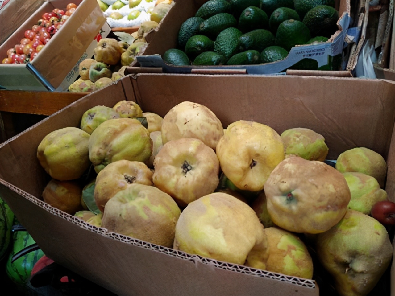 用一物将青柿变红，醉螃蟹经年不变质，老祖宗的办法太实用了