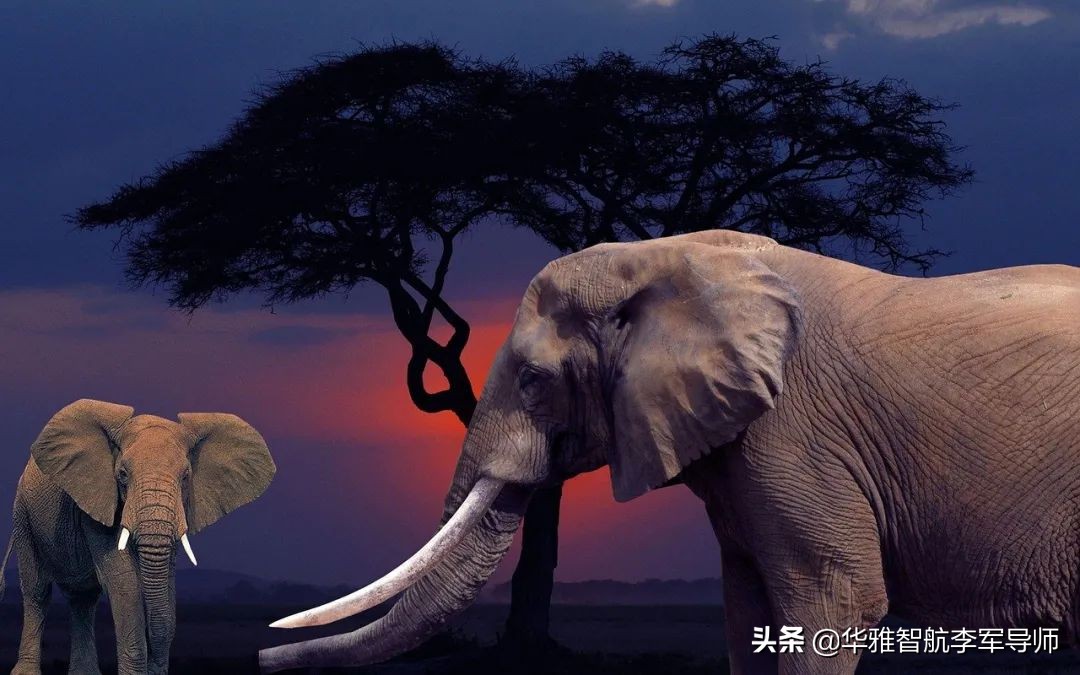 遇到挫折就自暴自弃怎么办,遇到挫折就自暴自弃情绪低落