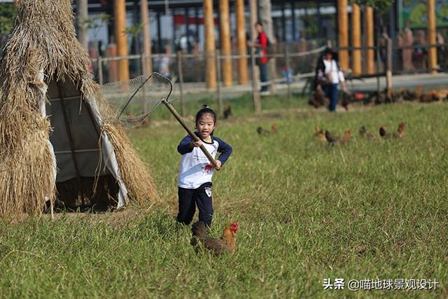美丽乡村的盈利项目,美丽乡村项目的成功案例