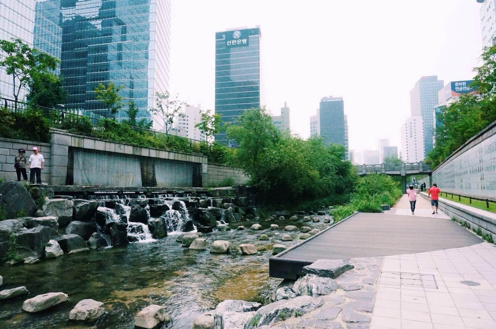 乱扔垃圾国外,丢垃圾外国人上海