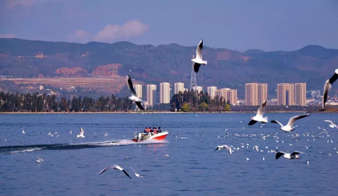 昆明主城区租房,昆明市各区租房价格表一览