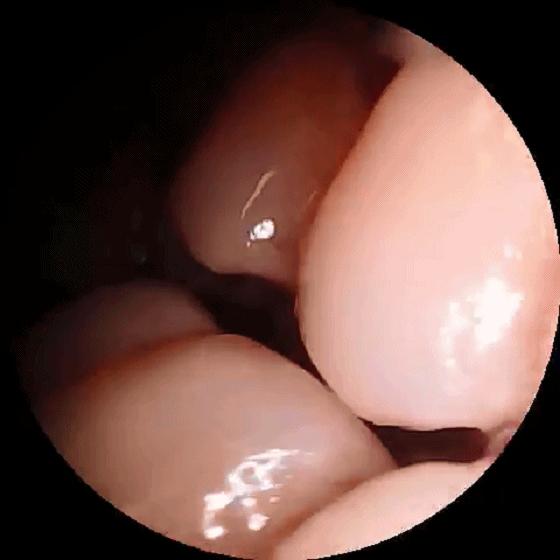 小米有品智能伸缩电动冲牙器,小米折叠冲牙器