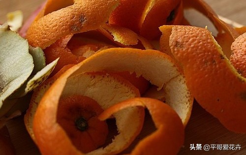 12月底,学会自制3种“营养土”,来年换盆肥效足、土壤疏松透气