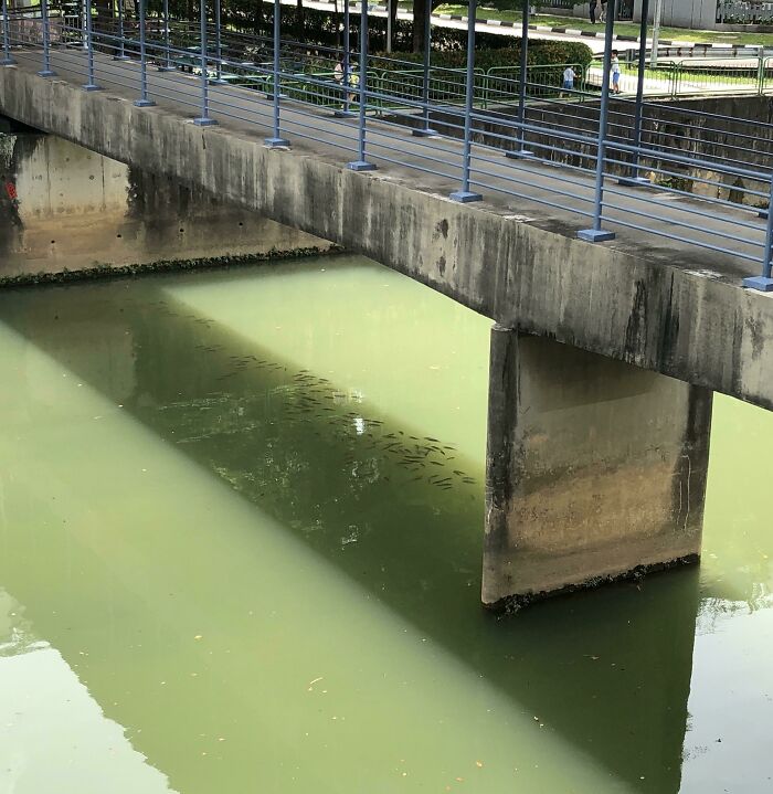 一图了解这个夏天到底有多热,一张图说明今年夏天有多热
