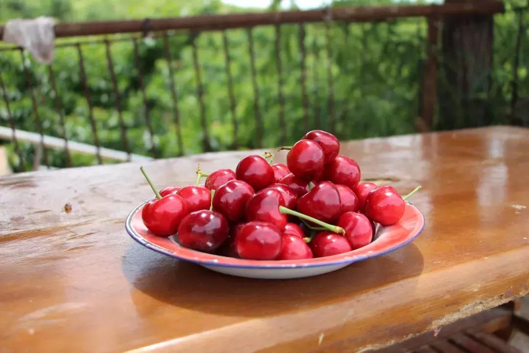 顺义大芦苇荡樱桃采摘园,顺义五大樱桃园