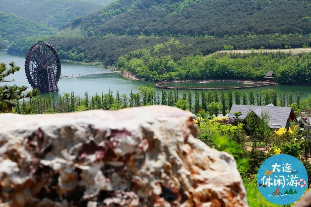 大连附近哪里有花海,大连一片花海