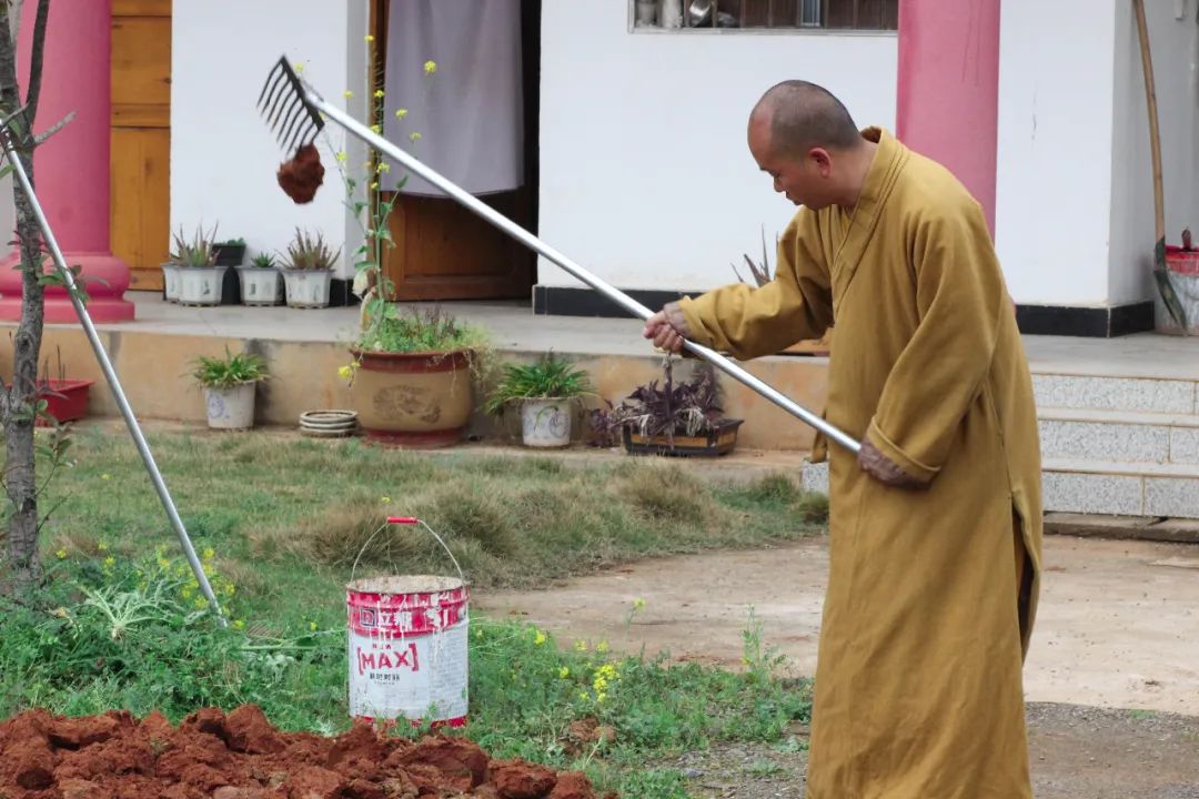 抢抓农时开展农业生产,农民纷纷抢抓春耕生产有利时机