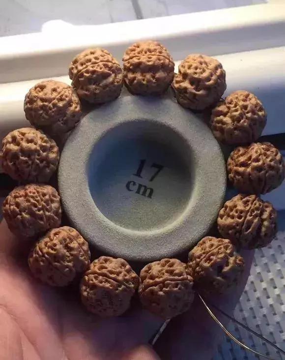 金刚贵贱区别,金刚菩提多久能红