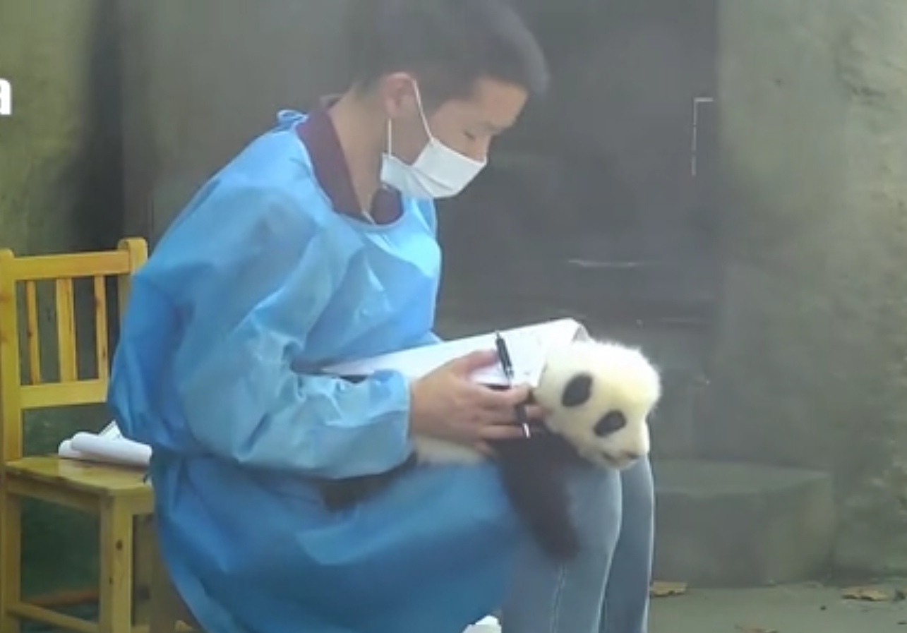 欧拉数学之王完整版,数学大师欧拉的传奇一生