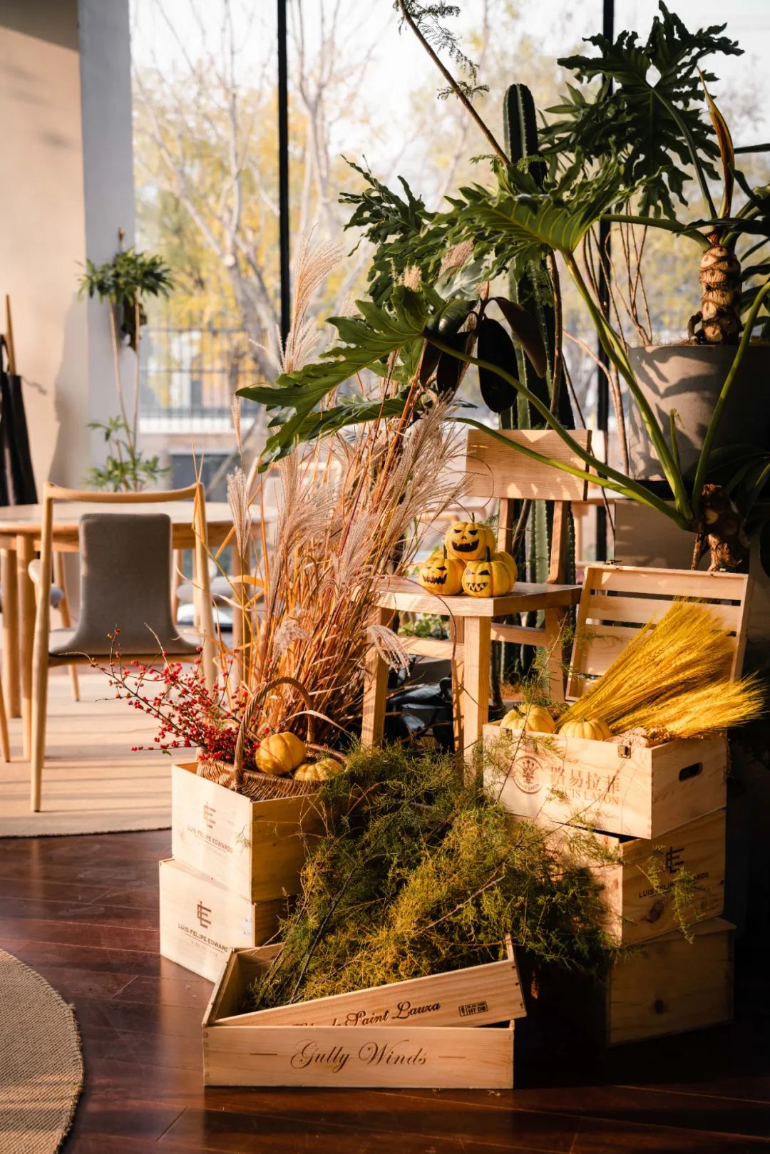 京城首家！探秘最热门“一尺花园”咖啡馆，西山脚*体下**会海派腔调