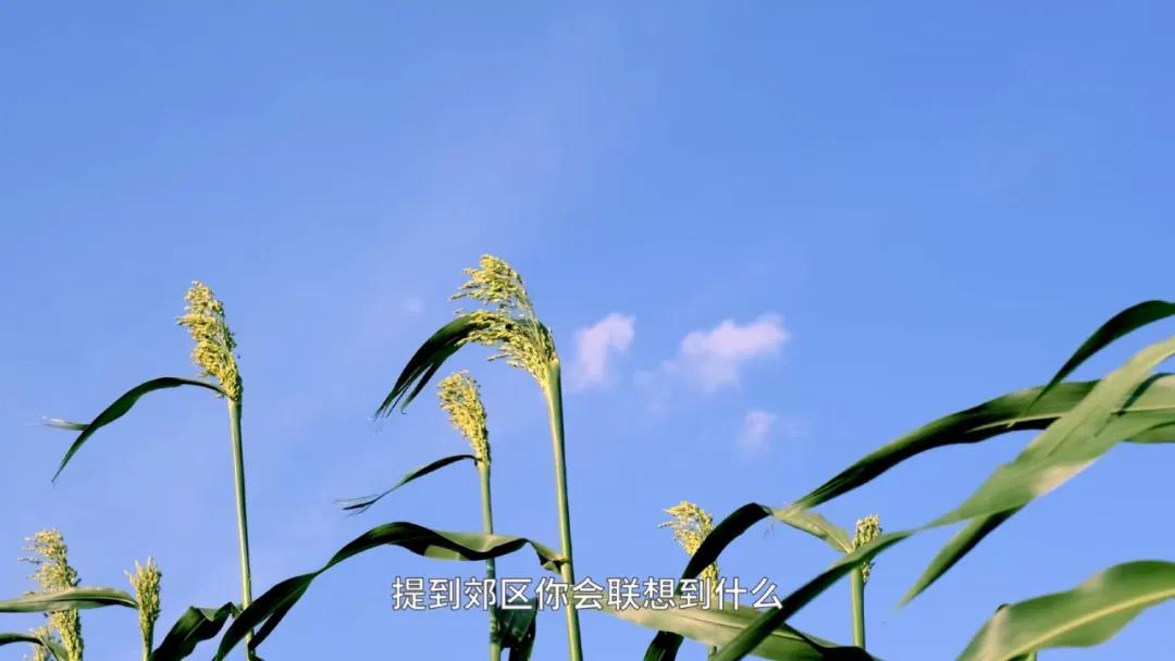 上海外环以外100万以内住宅,上海嘉定南翔富人区