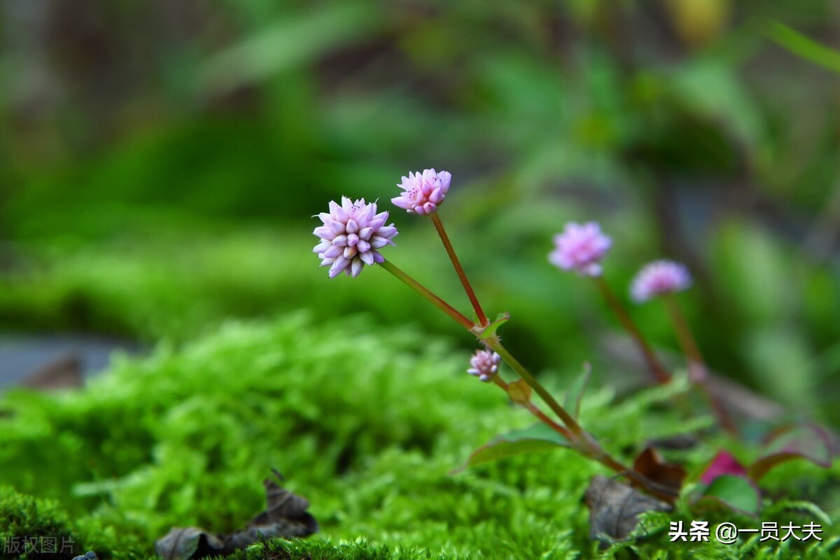 浅谈女士更年期尿道感染的日常防治