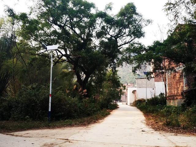 多次流窜诈骗,警惕花样繁多的网络诈骗